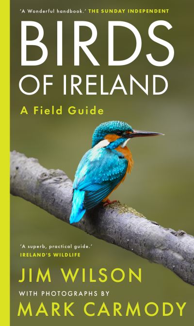 Birds Of Ireland By Jim Wilson | Birds Of Ireland: Sharp Insight